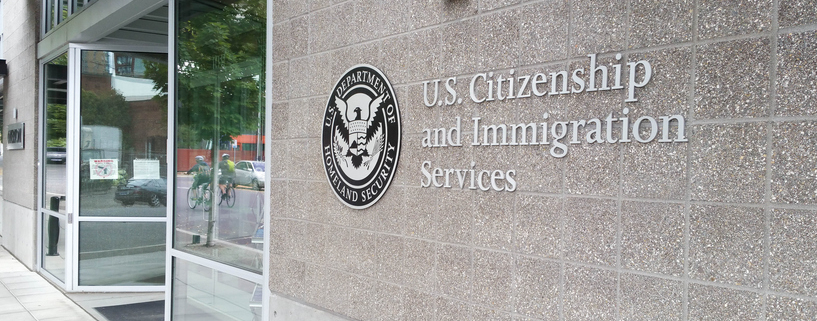 How long does it take USCIS to process a DACA application?